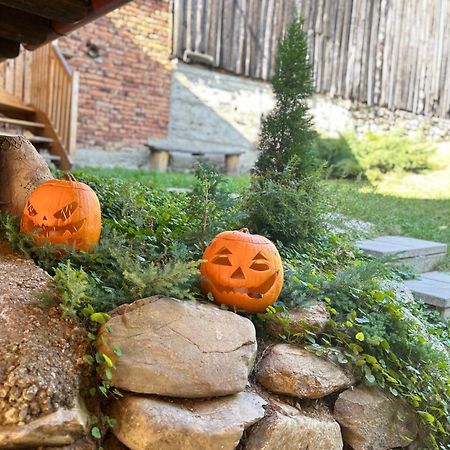 シビエル Casa Veche “Old House”ヴィラ エクステリア 写真